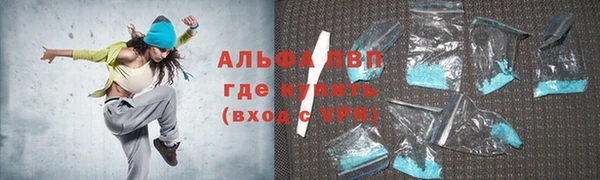 ECSTASY Бородино