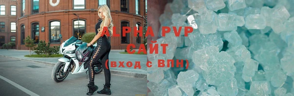 ECSTASY Бородино