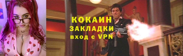 ECSTASY Бородино