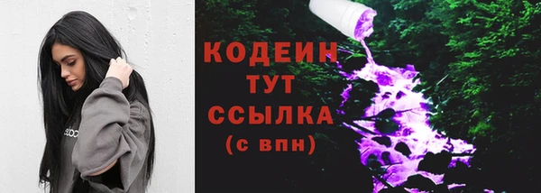 ECSTASY Бородино