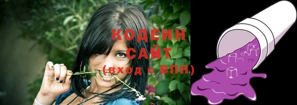 ECSTASY Бородино
