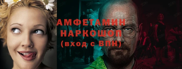 ECSTASY Бородино