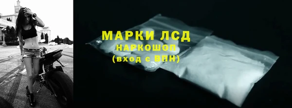 ECSTASY Бородино