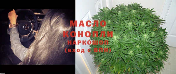 ECSTASY Бородино