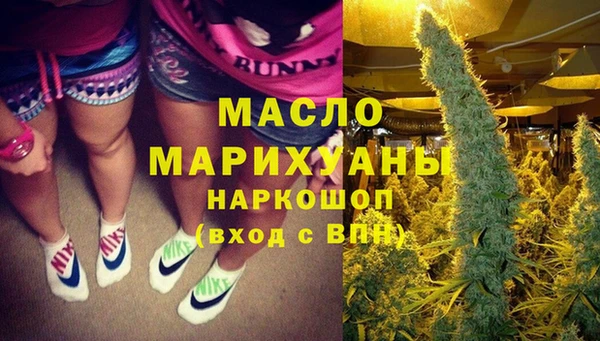 ECSTASY Бородино