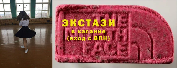 ECSTASY Бородино